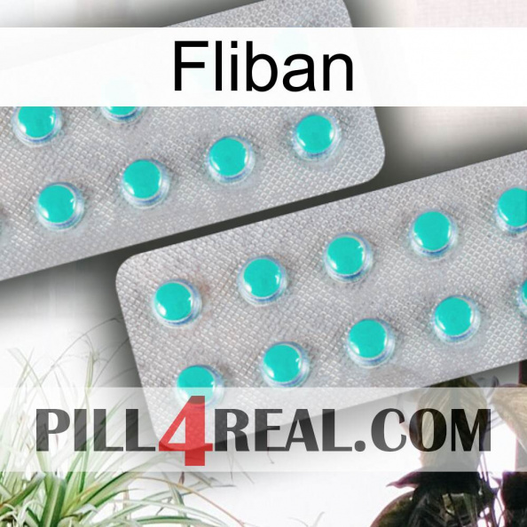 Fliban 29